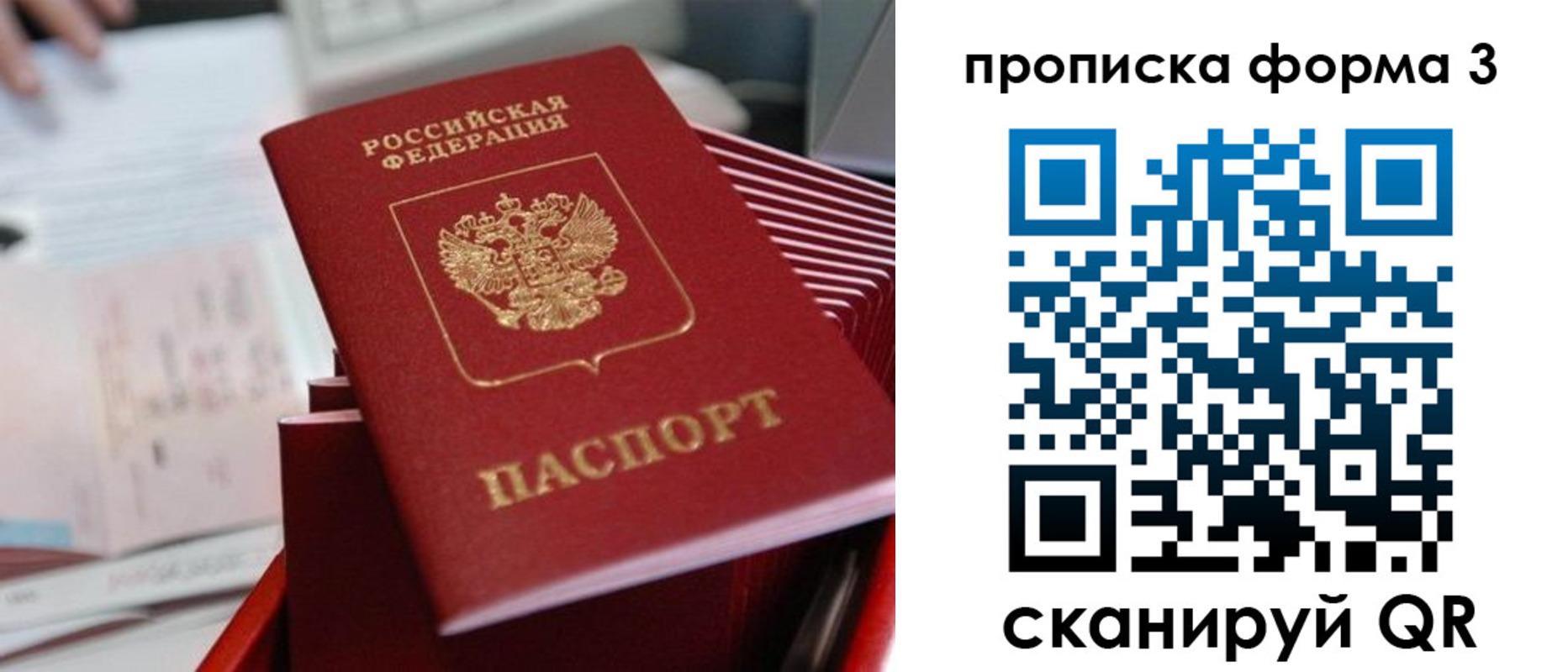 временная регистрация гарантия в Железногорске